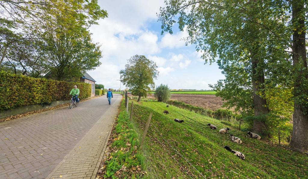 karakteristiek dijklint In het westen grenst de wijk aan de