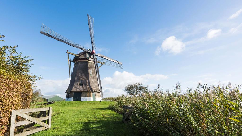 Zuidhollandse Molen Hank Aan de oostkant van de Roode Camer kijk je uit over de weidevelden.