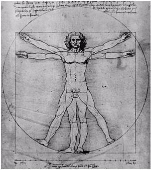 Vitruviaanse figuur getekend door Leonardo da Vinci. Niet alleen in de kunst kom je Φ tegen, ook menselijke schoonheid volgt de wetten van de gulden snede.