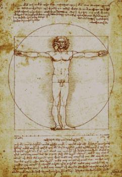 De mens Leonardo da Vinci (Italiaans kunstenaar en wetenschapper 1452-1519) tekende de mens volgens oude Griekse ideale schoonheidsverhoudingen.