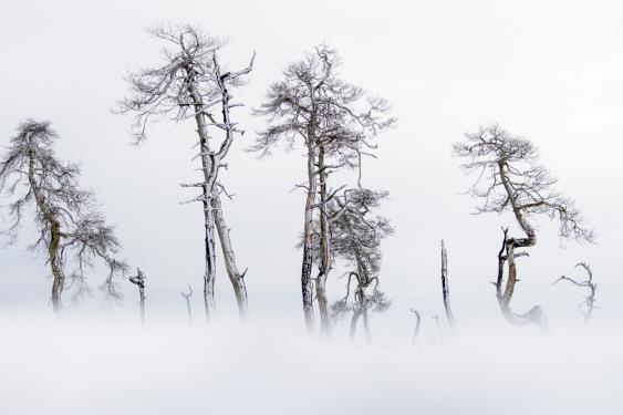 Door op je buik te gaan liggen in de sneeuw kan je een onscherpe voorgrond creëren. Het lijkt dan alsof het onderwerp zweegt boven het landschap. f/4.