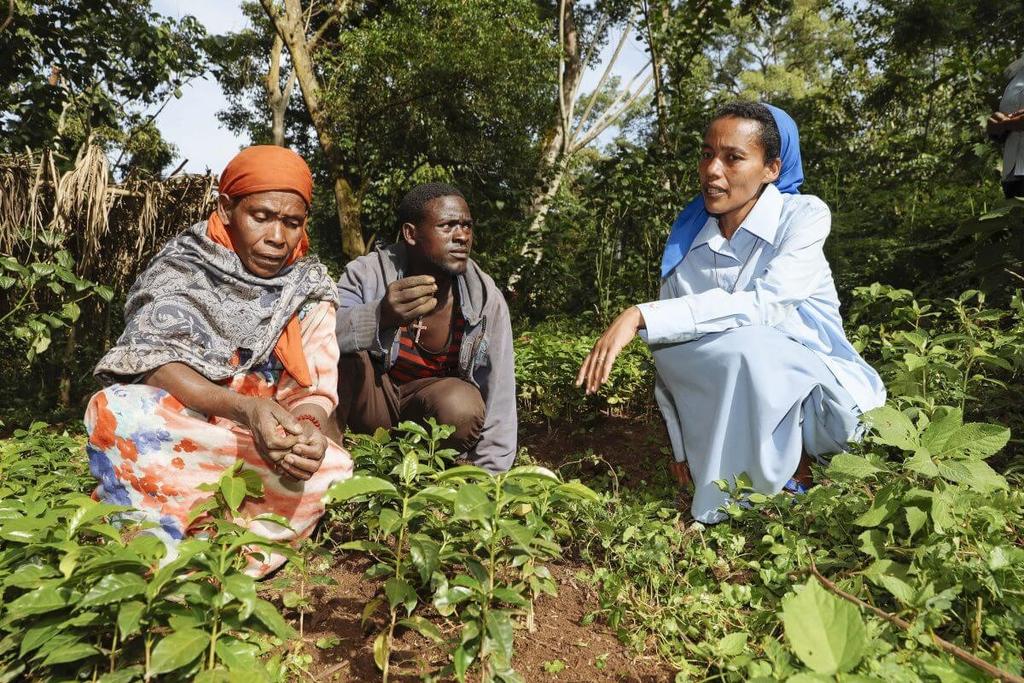 wereldmissiemaand 2018 Steun voor de koffieboeren in Ethiopië Ethiopië is de grootste koffieproducent van Afrika.