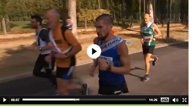 Tijdens het verslag op zondag namiddag op Sporza kwam Frankie mooi in beeld Haas van Wingene bron: www.sporza.be Zondag 13november ging de Haas van Wingene door.