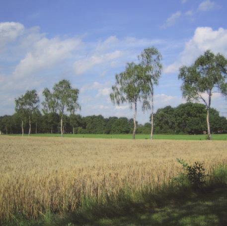 >> Zicht vanaf zuidzijde erf