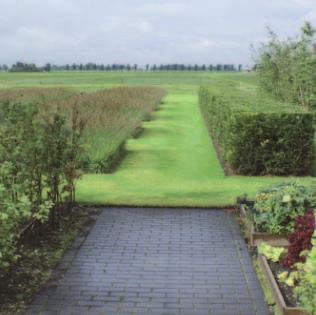 ontginningslijnen landschap benadrukken