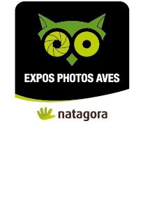 fotofestival Namen Aves Natuurfotografie tentoonstellingen (België). Deze festival is georganiseerd door Natagora-Aves.