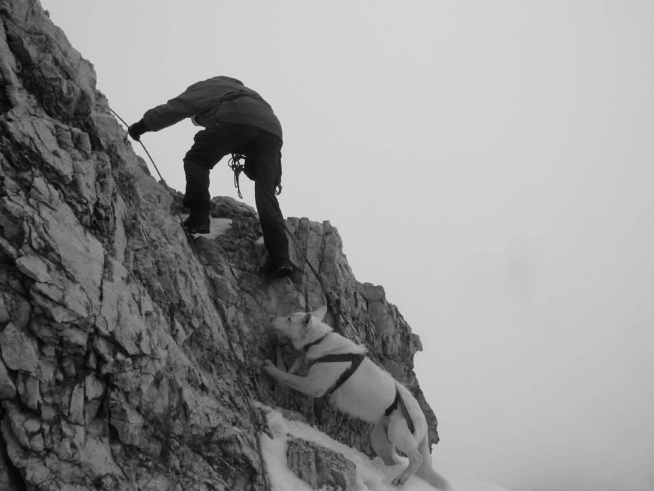 De reisverhalen van Ora Ora in de Karwendel Naar het Karwendelhaus Op een woensdag om half twee reeds in de namiddag komen Ivan, ik zelf en Ora aangehold in Scharnitz.