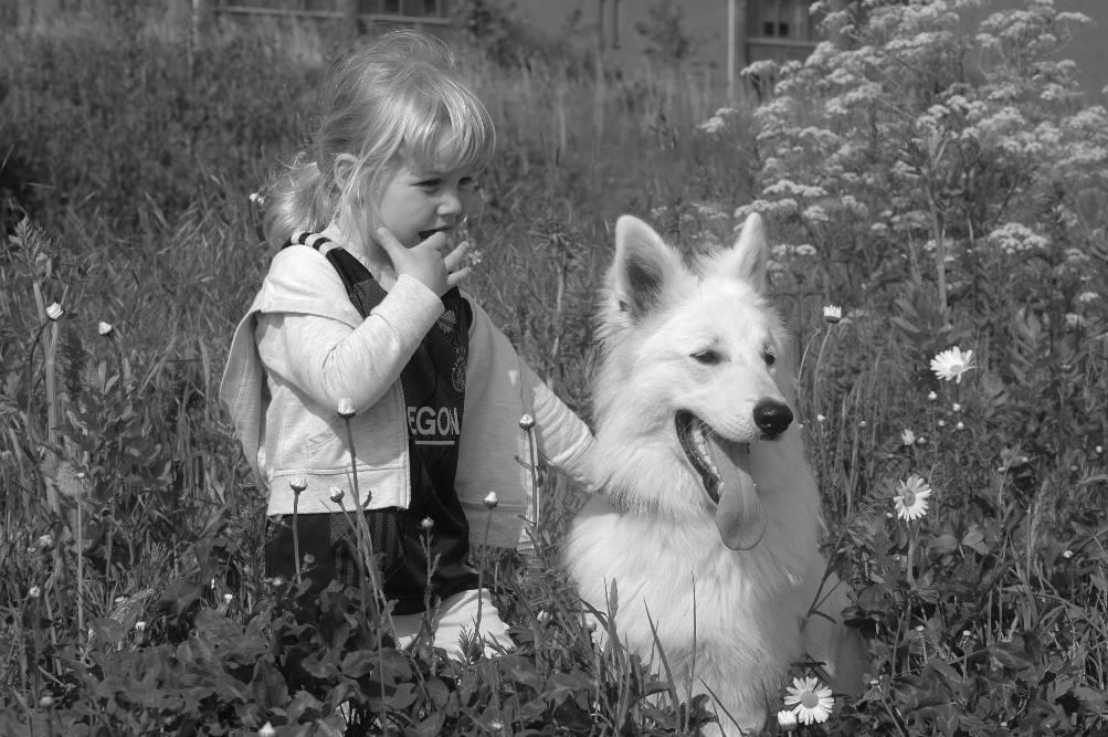 De reizende pen Zaros samen met de kleindochter, Foto: W. Kettmann Heeft u nog andere dieren Verder hebben wij nog een heel goed sprekende grijze roodstaart papagaai met de naam Pino.