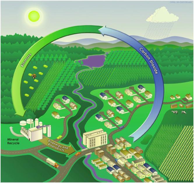 Biofuels: A Solution for Climate Change?