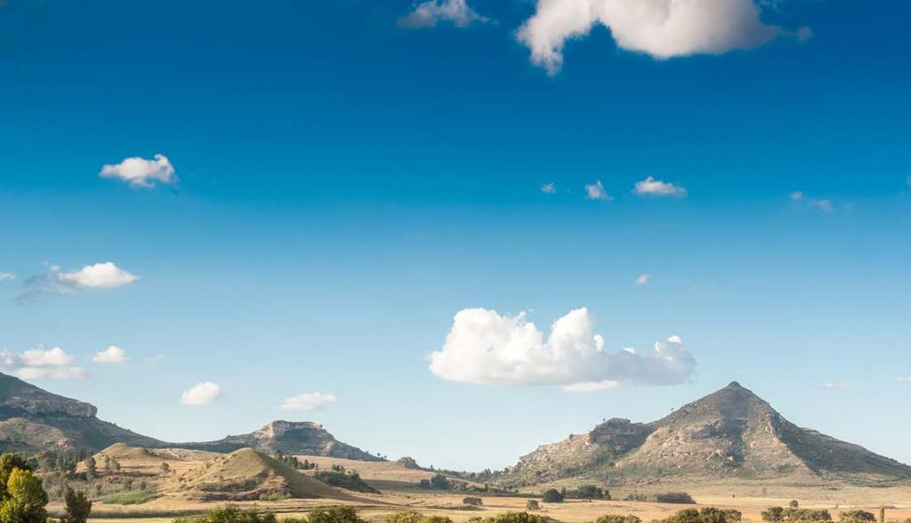 LANDBOUVERSLAG VERVOLG Crown Bag (Edms.) Bpk. ( Crown Bag ) Crown Bag se fabriek, wat op Harrismith in die Vrystaat geleë is, vervaardig sedert 1989 verpakkingsmateriaal.