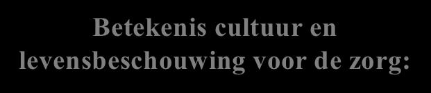 en richting geven aan hun handelen; overtuiging: waar en onwaar waarde: goed en kwaad norm: concretisering waarde (Tennekes 1985; Vellenga 1992) Religie: betrokkenheid op het transcendente: d.w.z.