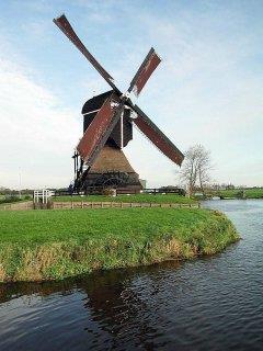 Door het waterschap zijn in 2015 een drietal bomen gekapt aan de Middenpolderweg, op een afstand van ca. 290 meter ten noordwesten van de molen Biotoopcijfer : 5.