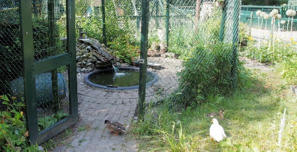 Dat viel niet slecht uit voor de kinderboerderij. Iedereen die gestemd heeft; hartelijk bedankt!