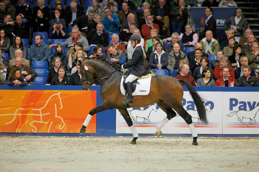 ONTMOETEN Periode in Duitsland Een jaar later, vlak voor de finale van de hengstencompetitie, vertrekt Rousseau naar Duitsland.