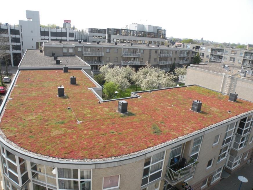 De aanlegkosten van een groen dak variëren, afhankelijk van de leverancier, het type groen dak en of men het laat doen of het groene dak zelf aanlegt. In alle gevallen betreft het platte daken.