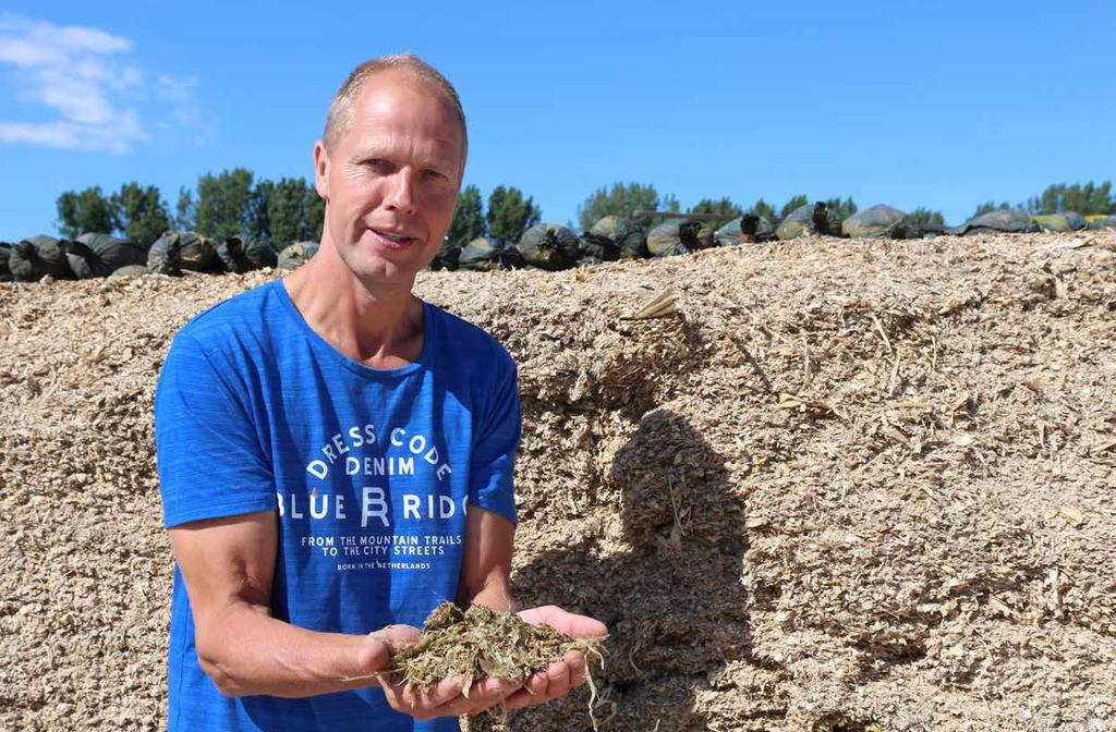 Unieke inkuilmiddelen geven boost aan maiskuilen Maak een maiskuil 2.0 met Bonsilage De ontdekking van nieuwe bacteriestammen geeft een nieuwe dimensie aan de conservering van mais.