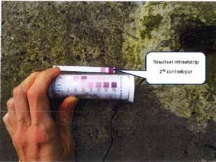 Er werden opnieuw hoge nitraatconcentraties (> 500 mg/l), en dus lozing, vastgesteld in de verschillende controleputten van de ingebuisde waterloop.
