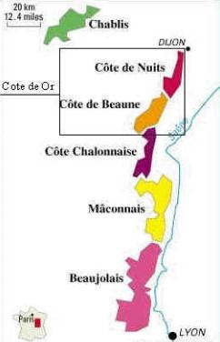 Bourgogne Algemene kenmerken van de Chardonnay druif niet-aromatische witte druif, het hoertje van de wijnbouwer kan zowel in koel, gematigd als heet klimaat groeien FR Bourgogne Chardonnay-topwijnen