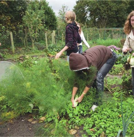 december 2+3 Kaarsen maken met bijenwas Boerderijwerk en verkenning.