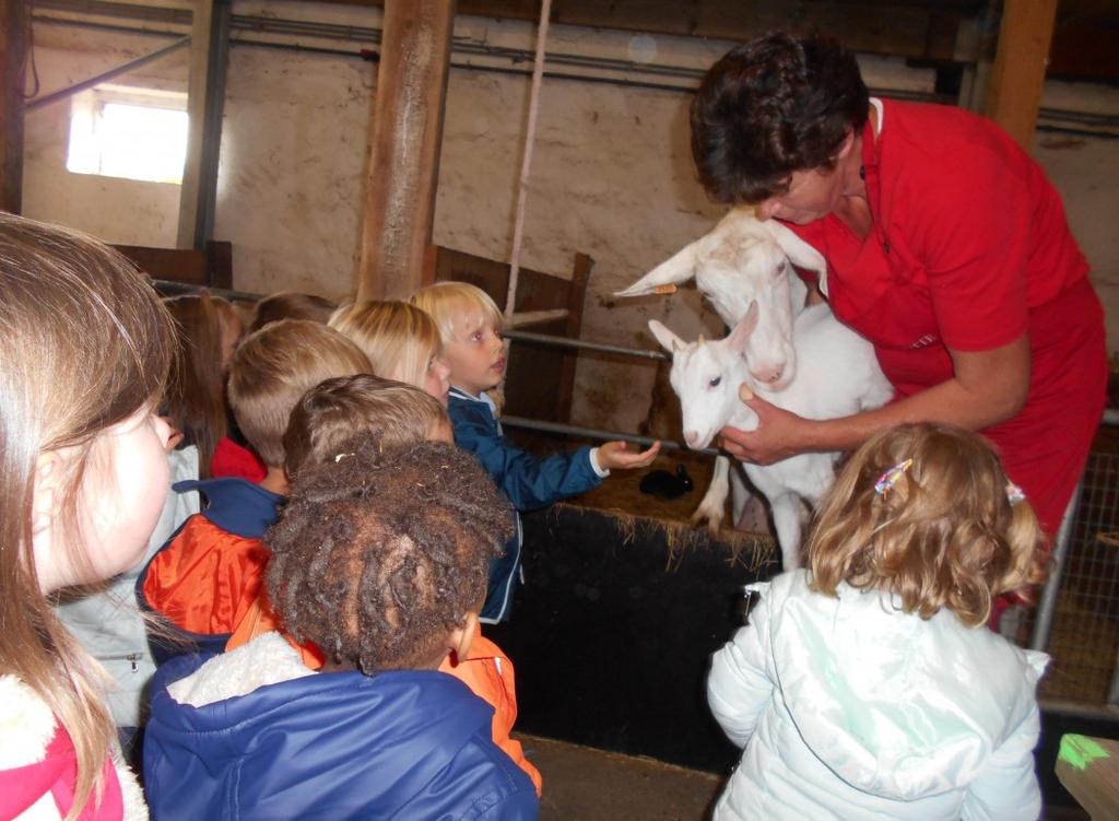 Hof ter Motte Op donderdag 27 september brengen we een bezoek aan de kinderboerderij Hof Ter