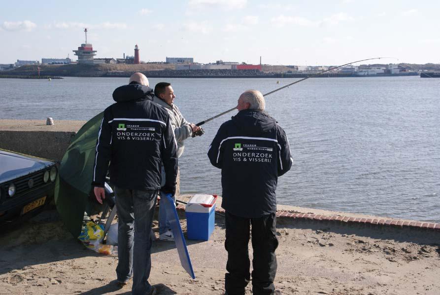 Veldonderzoek door mederwerkers van IMARES. bedragen. Een door een recreatieve visser gevangen vis draagt dus voor minimaal A 15,- bij aan de economie.