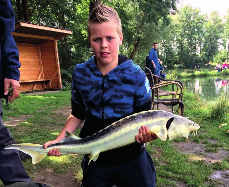 Op 1 juli kan de jeugd van 12 tot 17 jaar op Steur of Meerval vissen.
