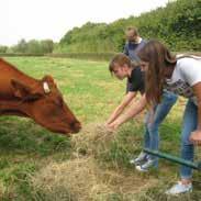 en technische vakken tuinbouw. Na de derde graad BSO dierenzorg, landbouw of tuinbouw kun je nog een zevende specialisatiejaar BSO volgen.