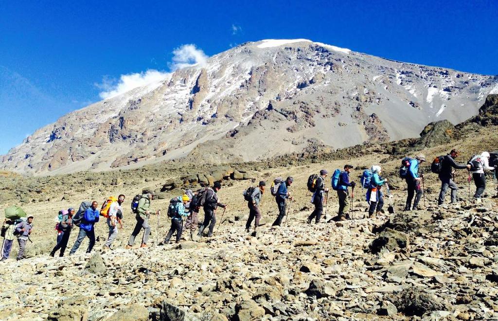 Deze gecertificeerde persoon begeleidt de groep tot aan de top van de Kilimanjaro.