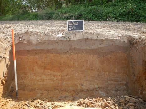 9: WP16PR1 Het archeologisch niveau bevond zich op een diepte tussen 50 en 70 cm onder het maaiveld, op een hoogte tussen 12,72 en 14,88 m TAW.