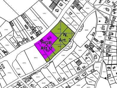 - het plangebied bevat twee bestemmingen en één overdrukbestemming. Het betreft de bestemming historisch gegroeid bedrijf (HGB) en de bestemming natuurgebied (N).