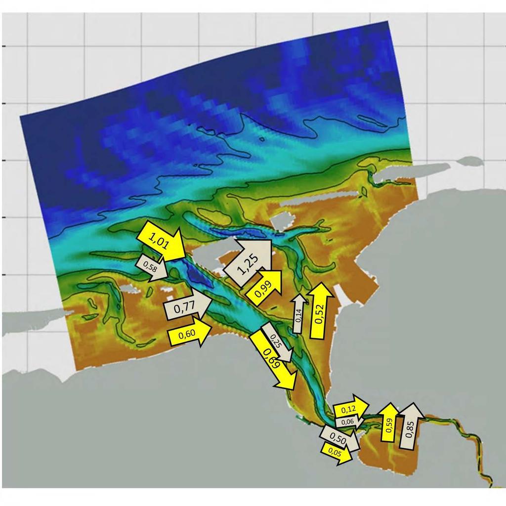 afname in de sedimentconcentratie in het middendeel en een toename in de Dollard (zie ook hieronder). Figuur 3.16 Netto sedimentfluxen (in miljoen ton/jaar) in 2014 (geel) en 2050 (grijs).