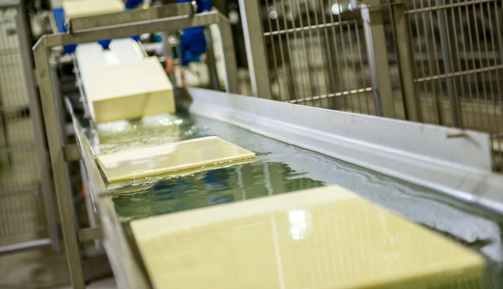 Ik werk bijna twee jaar bij Royal A-ware als operator centrifugelokaal en operator kaasmakerij. In het centrifugelokaal wordt de melk ontvangen en verwerkt.