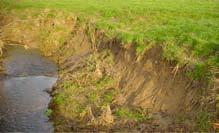 Erosie (perceelsranden) en grachten of beken verdwijnen. Ook de sterke toename van de maïsteelt beïnvloedt het erosiegevaar. De toename aan verharde oppervlakken: de neerslag wordt afgevoerd i.p.v. te infiltreren.