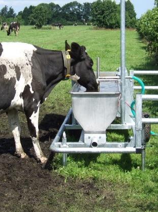 Stel jezelf vooraf altijd de vraag: Hebben mijn koeien genoeg mogelijkheden om te drinken in het weideseizoen?