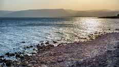 Op stenen rondom de kerk vind je de negen zaligsprekingen die Jezus Het meer van Galilea heeft verkondigd.