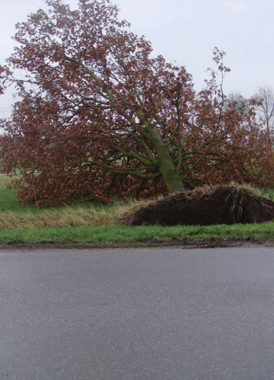 Kiek van de maand Slachtoffer van de storm op donderdag 18