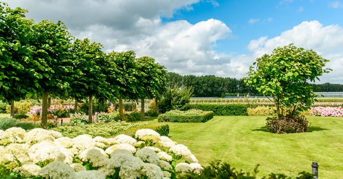 Gelegen in de polder net buiten het dorp Sint-Annaland mogen wij u dit kavel van 3.000 m² groot aanbieden. Eventueel kan er nog 10.000 meter extra grond bijgekocht worden tegen meerprijs.