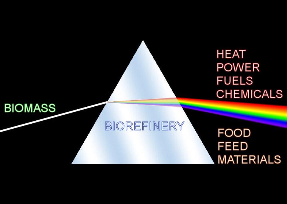 Biorefinery