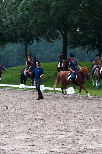 KNHS Opleidingen Doorlopende opleidingslijn WIJZIGINGEN (MARION SCHREUDER EN PROCES EN WAAR INFO): 1. Iedereen dressuur en springen 2. Mag met 2 paarden 3. Geen instroommogelijkheid meer 4.