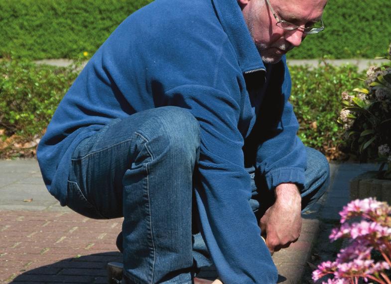 Achterstallig onderhoud Is de tuin niet of niet goed onderhouden, dan kan Clavis u vragen de tuin weer op orde te brengen.