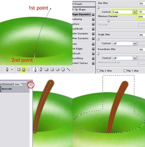 Stap 15 Nieuwe laag, noem die "Stalk." Pen Gereedschap aanklikken, in optiebalk op Paden zetten. Teken een curve voor het steeltje van de appel. Penseelgereedschap aanklikken, open het palet Penselen.