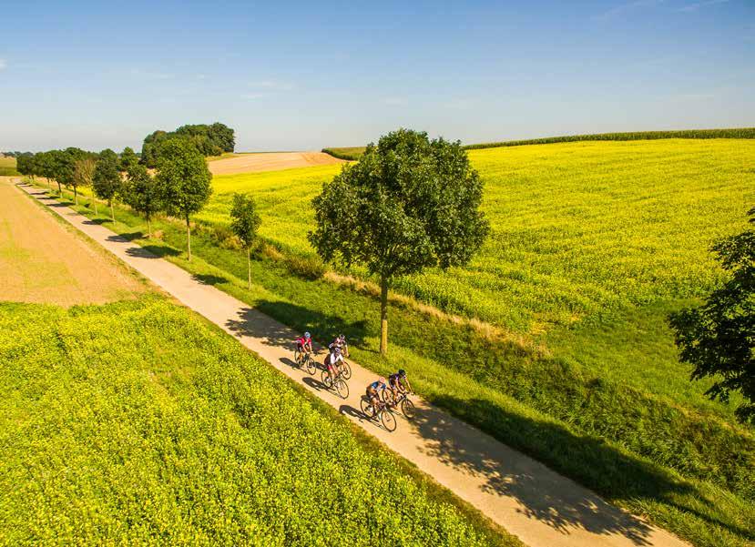 PRIJS ZONDER LUNCH: volwassene 16 euro, kind -10 jaar 11 euro PRIJS GIDS WIJNKASTEEL: vanaf 60 euro (max. 25 personen/gids) PERIODE: hele jaar behalve op zon- en feestdagen.