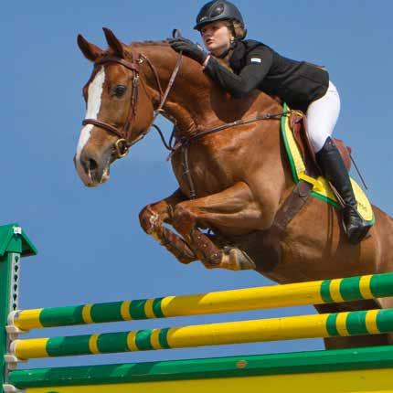 Hartog Lucerne-mix Efficiënte vertering, hogere kauwfrequentie Meer en kwalitatief beter hoefhoorn Bevordert de ontwikkeling van de spieren in de hals, rug en achterhand Energy Classic Extra vitamine