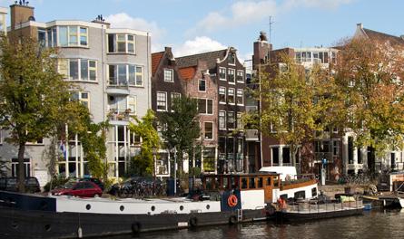 De iep is belangrijkste boom van Amsterdam en is onlosmakelijk