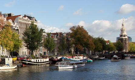 Inleiding Er staan circa 75.000 iepen in de gemeente Amsterdam, ruim 20% van het gehele bomenbestand. De iep heeft bepaalde eigenschappen die hem uitermate geschikt maakt als straatboom.