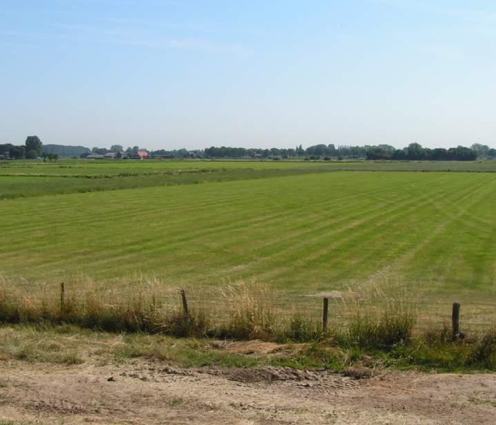 Kenmerken Sterk agrarisch (schaalvergroting): open karakter. Geen glastuinbouw. Geen woongebouwen.