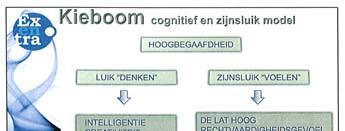 ZIJNS -modellen Cognitief en zijnsluik model België: Cognitief en zijnsluik model, Tessa Kieboom Nederland: Delphi-model Hoogbegaafdheid,
