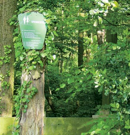 Het beeksysteem omvat het water, de oevers en het direct aanliggende landschap. Het kan een divers aanzien hebben, afhankelijk van het landschap waardoor de beek stroomt.