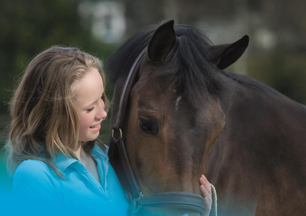 Onze strategie Om onze missie vorm te geven kent onze strategie vier pijlers: 1. Werken aan een sociaal Nederland 2. Ontwikkelen van (maatschappelijk) talent 3.