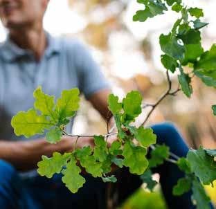 Le bois soigneusement sélectionné provient de forêts gérées durablement et des énergies entièrement renouvelables interviennent dans le